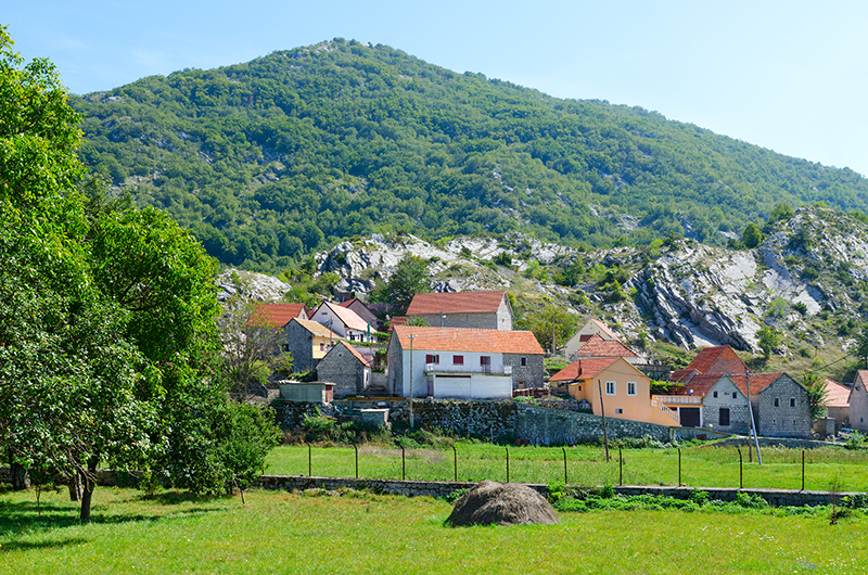Негуши в Черногории