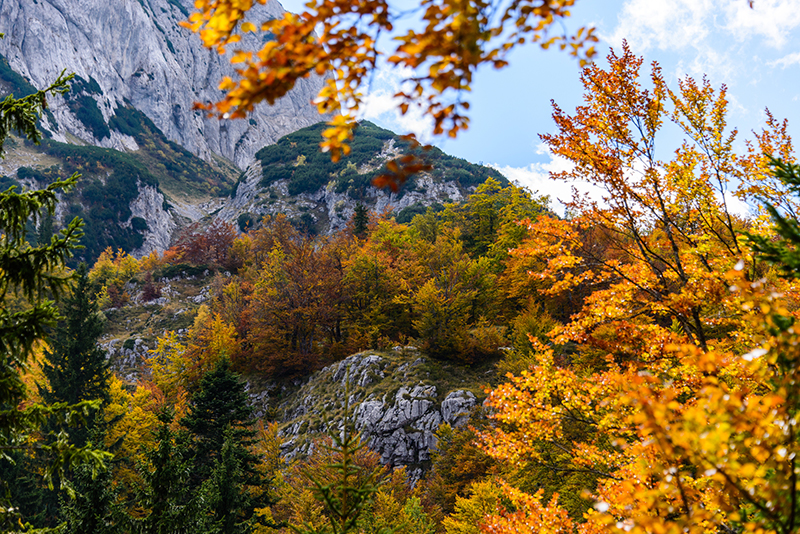 Осень